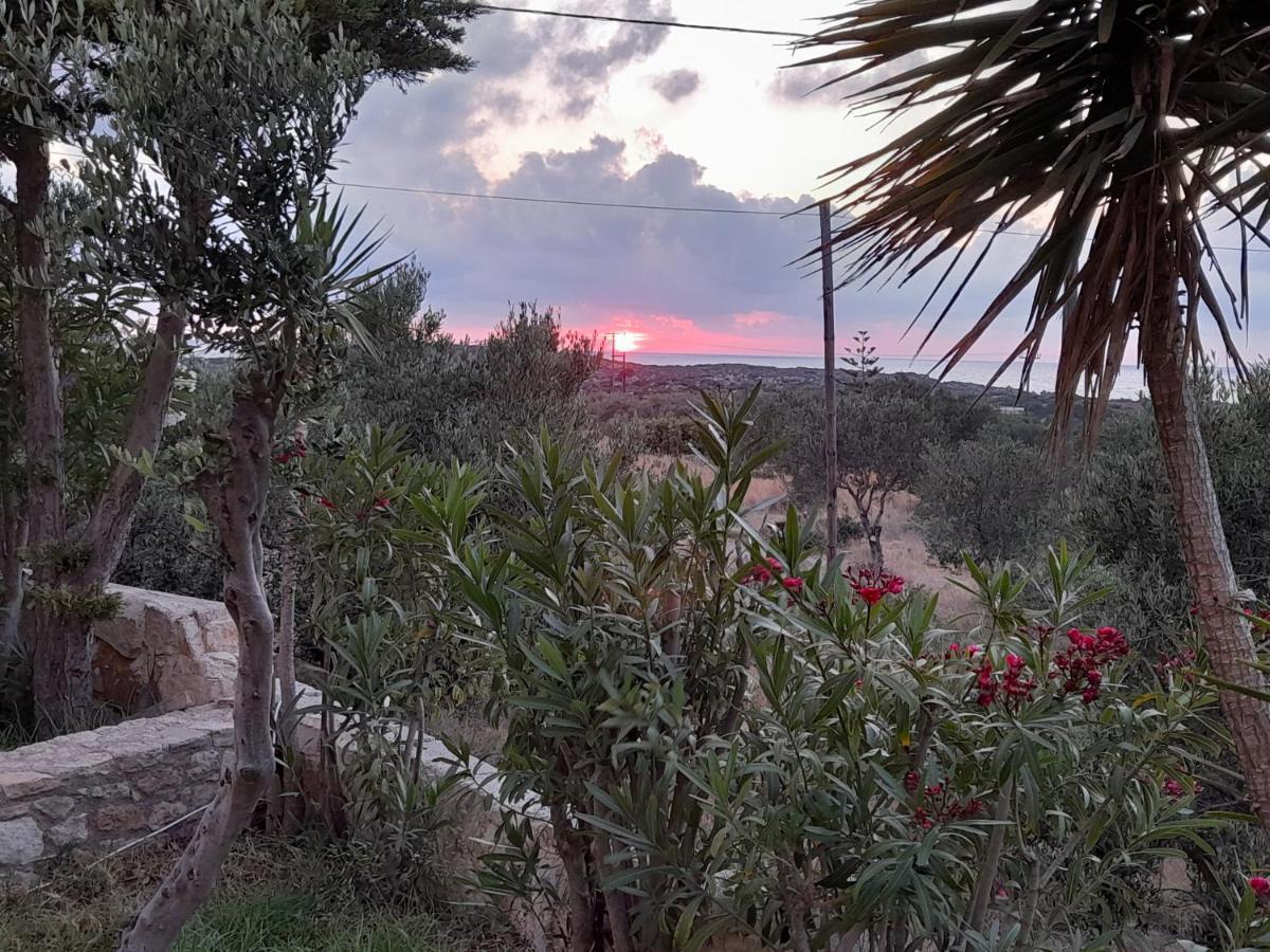 Villa Evenos Of 3 Bedrooms - Irida Country House Of 2 Bedrooms With Private Pools Elafonisi Bagian luar foto